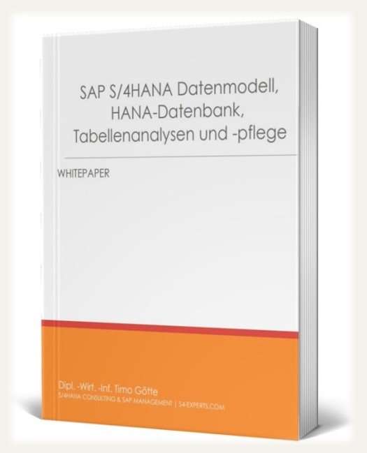 SAP S /4HANA Datenmodell HANA Datenbank Tabellen Analyst Berater Freiberufler Freelancer Consulting Beratung Timo Götte