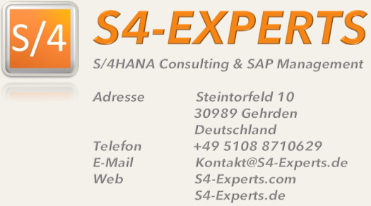 S4-Experts Timo Götte Kontaktdaten, SAP Consulting, Freiberufler, Freelancer, Berater, Beratung, Projektleiter