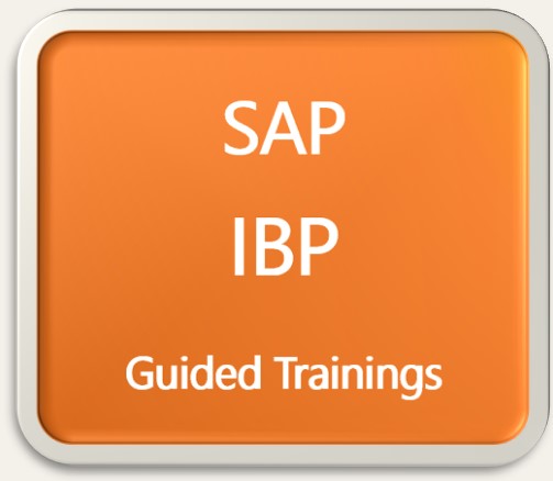 SAP Integrated Business Planning (IBP) Guided Trainings