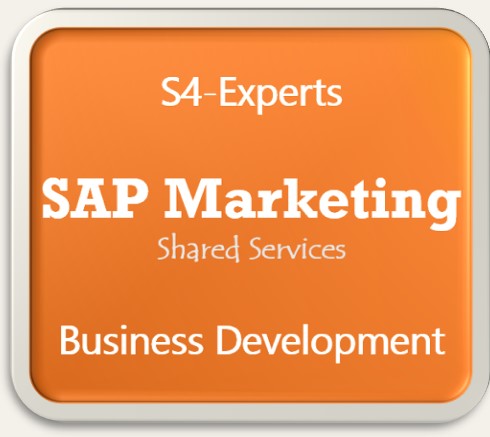 SAP Marketing Business Development Kundengewinnung Absatzsteigerung Vertrieb