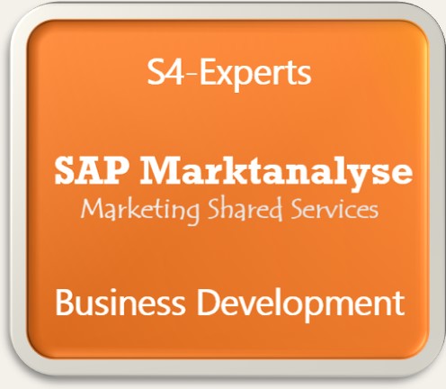SAP Marktanalyse Wettbewerbsanalyse Konkurrenzanalyse Marktforschung